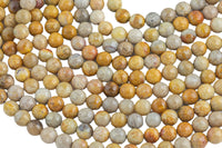 Natural Medium fossil coral, High Quality in Faceted round, 6mm, 8mm, 10mm- Full 15.5 Inch Strand- Gemstone Beads