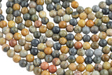 Natural Tan Petrified Wood- Faceted Round sizes. 4mm, 6mm, 8mm, 10mm, 12mm, 14mm- Full 15.5 Inch Strand AAA Quality Gemstone Beads