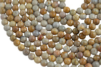 Natural Light fossil coral, High Quality in Faceted round, 6-10mm Gemstone Beads
