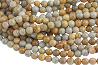 Natural Light fossil coral, High Quality in Faceted round, 6-10mm Gemstone Beads