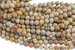 Natural Light fossil coral, High Quality in Faceted round, 6-10mm Gemstone Beads