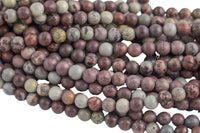 Natural Picture Jasper 6mm Round Beads 8mm Round Beads 10mm Matte Round Beads 15.5" Strand Smooth Gemstone Beads