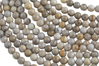 Natural Silver Leaf Jasper, High Quality in Round- 4mm, 6mm, 8mm, 10mm, 12mm Smooth Gemstone Beads