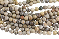 Natural fossil coral, High Quality in round, 4-14mm AAA Quality AAA Quality Smooth Gemstone Beads