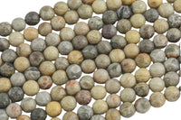 Natural fossil coral, High Quality in Faceted round, 4mm, 6mm, 8mm, 10mm, 12mm, 14mm- Full 15.5 Inch Strand Gemstone Beads