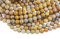 Natural Medium fossil coral, High Quality in Faceted round, 6mm, 8mm, 10mm- Full 15.5 Inch Strand- Gemstone Beads