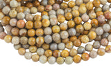 Natural Medium fossil coral, High Quality in Faceted round, 6mm, 8mm, 10mm- Full 15.5 Inch Strand- Gemstone Beads