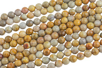 Natural Medium fossil coral, High Quality in Faceted round, 6mm, 8mm, 10mm- Full 15.5 Inch Strand- Gemstone Beads