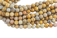 Natural Medium fossil coral, High Quality in Faceted round, 6mm, 8mm, 10mm- Full 15.5 Inch Strand- Gemstone Beads