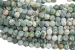 Natural Tree Agate, High Quality in Matt Matte Round, 6mm,8mm, 10mm, 12mm AAA Quality AAA Quality Gemstone Beads