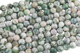 Natural Tree Agate, High Quality in Faceted Round-4mm, 6mm, 10mm, 12mm-Full Strand 15.5 inch Strand Gemstone Beads