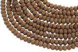 Natural Rudraksha Beads- 8mm Roundel- Wholesale Bulk or Single Strands!- Full 13.5 Inch Strand Gemstone Beads