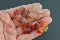 Carnelian 3d Flower Figurine About 24mm across Pre-charged- drilled on top to attach to string.