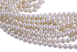 Natural Shell Pearls - Mother of pearl - Round- 6mm 8mm 10mm 12mm 14mm Gemstone Beads Shell Beads