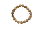 Natural Fossil Coral Bracelet Faceted Round Size 6mm and 8mm- Handmade In USA- approx. 7" Bracelet Crystal Bracelet