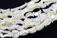 AAA Iridescent Carved Natural White Mother of Pearl Shell Moon Beads 10mm and 12mm 15.5" Strand Shell Beads