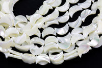 AAA Iridescent Carved Natural White Mother of Pearl Shell Moon Beads 10mm and 12mm 15.5" Strand Shell Beads