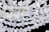 Iridescent White Mother of Pearl MOP Shell Butterfly Beads 6mm to 12mm 15.5'' Strand Shell Beads