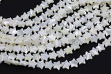 Iridescent White Mother of Pearl MOP Shell Star Beads 6mm to 12mm 15.5'' Strand