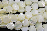 AAA Iridescent Carved Natural White Mother of Pearl Shell Carved Flower Beads 10mm and 12mm 15.5" Strand Shell Beads