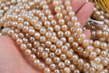 Natural Mystic Champagne Tan Agate, Faceted Round sizes 4mm, 6mm, 8mm, 10mm, 12mm- Full 16 inch strand Gemstone Beads