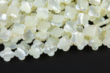 Mother Of Pearl - Clover Flower Beads- Special Shape AAA Quality Shell Beads
