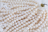 JUMBO LARGE-HOLE Pearls Size 13-14mm 8 inch strand Natural Fresh Water Pearls