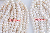 JUMBO LARGE-HOLE Pearls Size 13-14mm 8 inch strand Natural Fresh Water Pearls