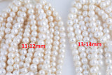 JUMBO LARGE-HOLE Pearls Size 13-14mm 8 inch strand Natural Fresh Water Pearls