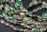 Natural Abalone Beads Puffy Oval Freeform Free Form Shape Beads. A Quality 15.5 inch strand