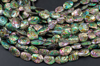 Natural Abalone Beads Puffy Oval Freeform Free Form Shape Beads. A Quality 15.5 inch strand