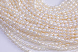 Natural Freshwater Pearl Potato Pearls 3-4mm