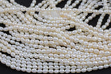 Natural Freshwater Pearl Potato Pearls 3.5mm- 14 inches long