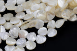 Natural Mother of Pearl, Onion Teardrop- 12mm- Full 14 inch strand Gemstone Beads Shell Beads