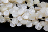 Natural Mother of Pearl, Onion Teardrop- 12mm- Full 14 inch strand Gemstone Beads Shell Beads
