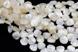 Natural Mother of Pearl, Onion Teardrop- 12mm- Full 14 inch strand Gemstone Beads Shell Beads