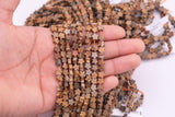 Natural Picture Jasper Beads 6mm Star Shaped Real Gemstone 15" Strand Smooth Gemstone Beads
