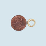 18K Gold Filled Round Carabiner Clasp,Carabiner Lock Connector,Spring Push Gate for DIY Jewelry Finding Necklace Bracelet Gold Filled Silver