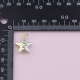 Star Two Tone Charms 18K Gold Filled Silver Charm for Charm Bar Bracelets Necklaces Charms Gold Filled Charms Minimalist CZ Pave