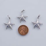 18K Gold PVD Starfish Star Fish charm - Tarnish Resistant
