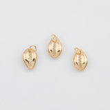 18K Gold PVD Puka Shell Charms 8x12mm 22k s White Gold Charms Pooka Shell - Tarnish Resistant