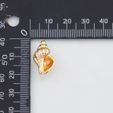 18K Gold PVD Conch Charms 13x21mm 22k s White Gold Charms - Tarnish Resistant