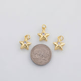18K Gold PVD Starfish star fish ocean beach charm charm s Charms - Tarnish Resistant