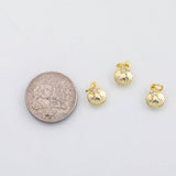 18K Gold PVD Sea shell clam oyster charm Ocean Beach charm s Charms - Tarnish Resistant
