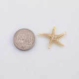 18K Gold PVD Starfish connector charm Charms - Tarnish Resistant