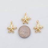18K Gold PVD Starfish charm Charms - Tarnish Resistant