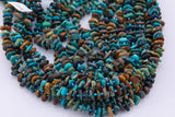 Natural Turquoise Freeform Nugget Beads about 12mm Heishi Roundel Smooth Round 15.5" Loose Beads Natural Untreated