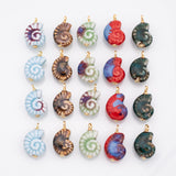 18K Gold PVD Ceramic Sea Shell Charm Colorful ceramic conch nautilus shell charms hmade painted porcelain vintage - Tarnish Resistant