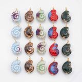 18K Gold PVD Ceramic Sea Shell Charm Colorful ceramic conch nautilus shell charms hmade painted porcelain vintage - Tarnish Resistant
