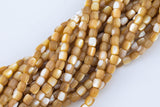 Golden Mother of Pearl 6mm Barrel Beads 15.5" Strand Shell Beads